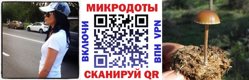 Галлюциногенные грибы ЛСД  ссылка на мегу   Галич 